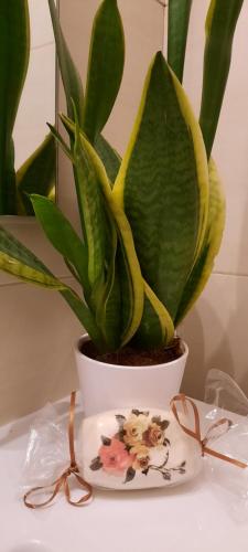 Olympic Fashion Hotels in Athen