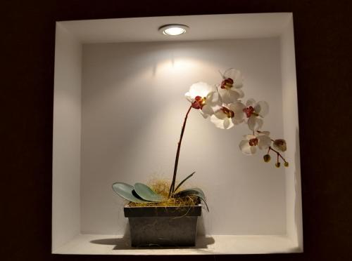 Hostal Quevedo - image 12
