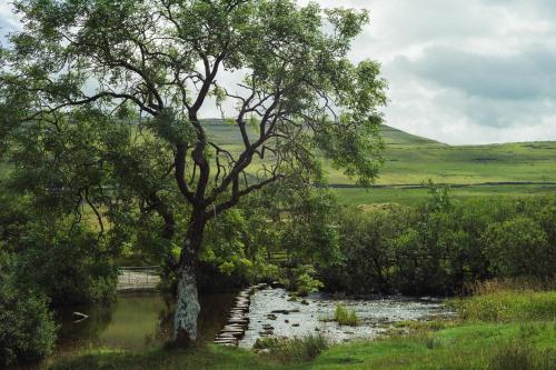 Our Holiday House Yorkshire, Ingleton - children and doggy friendly