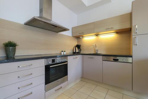 One-Bedroom Apartment image 7