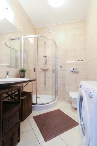 One-Bedroom Apartment image 2