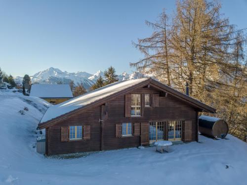 Chalet Pierre Blanche in Nendaz