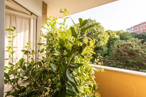 Milano Guest House - Tap to explore photos