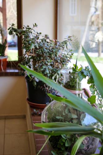 Pensjonat 4 Pory roku