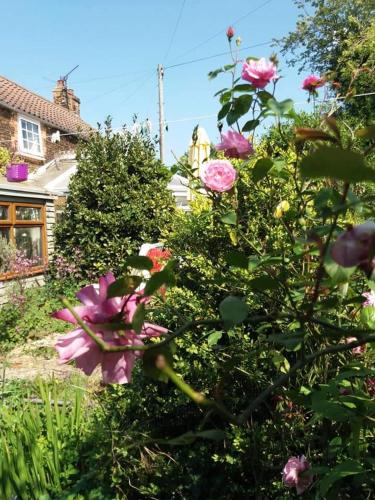 Sunshine B and B South View Cottage chambre d'hôte St Johns Fen End