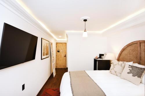 Orchid House Polanco Orchid House Polanco