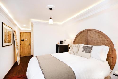 Orchid House Polanco Orchid House Polanco