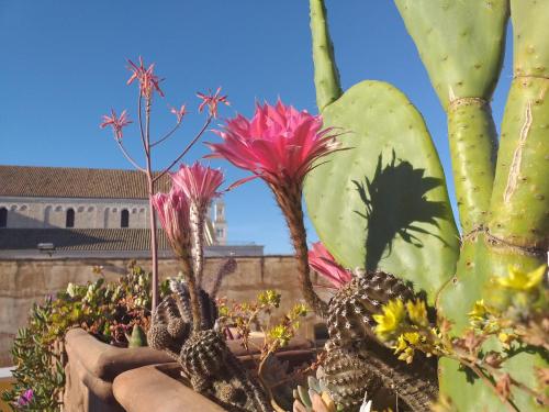 Il Soppalco chambre d'hôte Museo Archeologico Provinciale