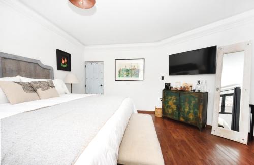 Orchid House Polanco Orchid House Polanco