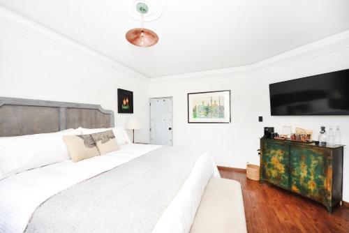 Orchid House Polanco Orchid House Polanco