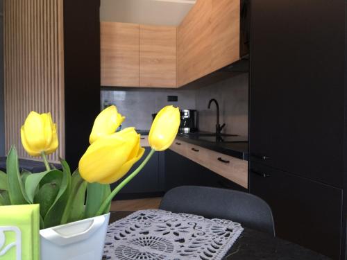 Apartament Malta Poznań