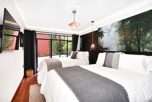 Orchid House Polanco Orchid House Polanco