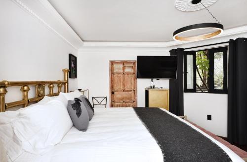 Orchid House Polanco Orchid House Polanco