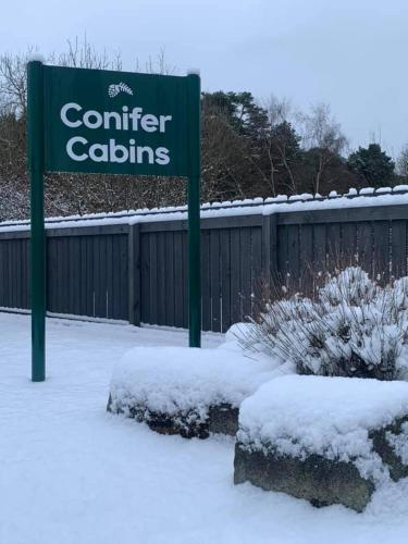Conifer Cabins
