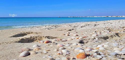 Masseria La Lizza - Ospitalità Rurale