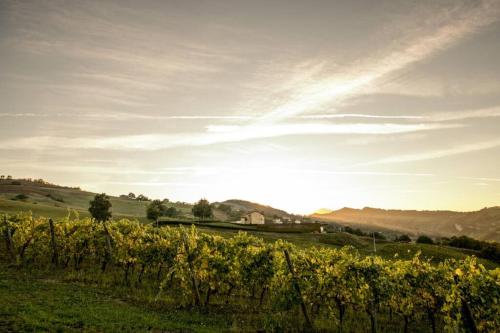 La Casa Vacanza con vista panoramica sui vigneti