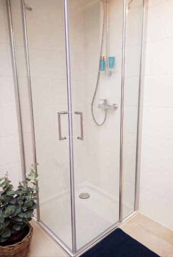 DUPLEX plus
