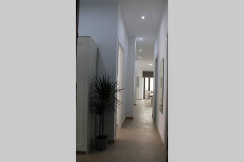 Apartamento centro Lorenzo Borrego, Ronda (foto 11)