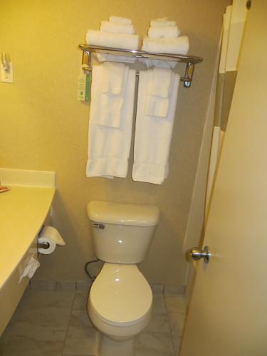 new lodge winnipeg