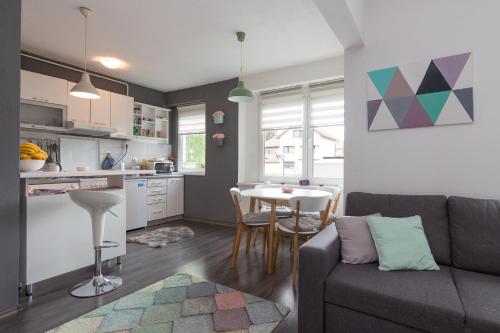 Apartment Amra in 维索科