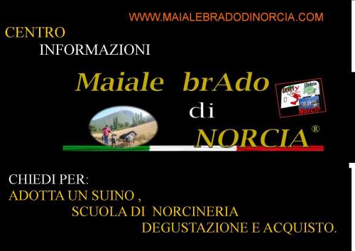  Resort la dimora Maiale brado di Norcia in Norcia