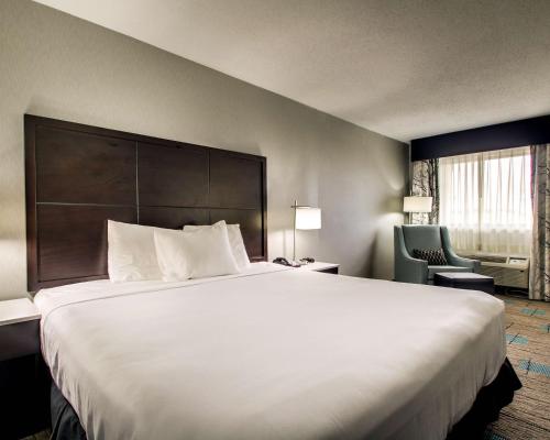1 king bed