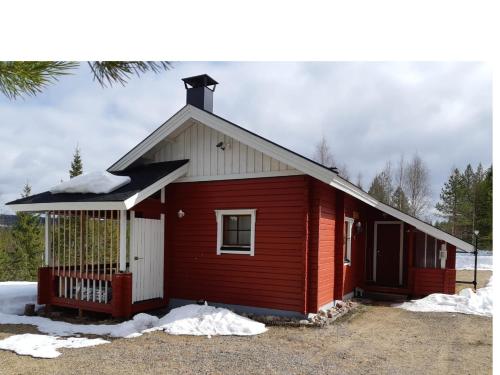 . Metsorinne 3A sarvipöllö