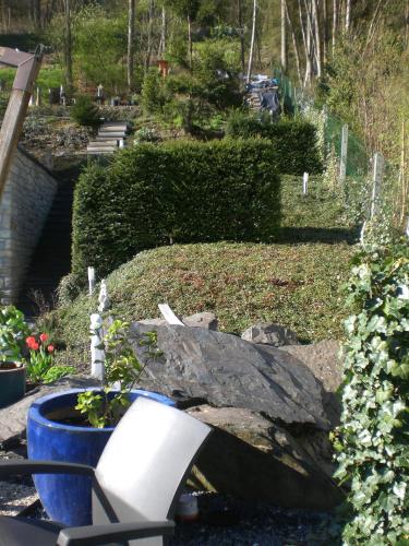 B&B L'ourthe - image 11