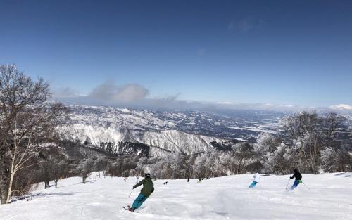 Address Nozawa - 액티비티