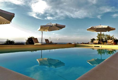 Peldbaseins, Domus Langhe B&B in Treiso