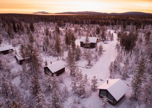 Polar Lights Lodge - Chalet - Sirkka