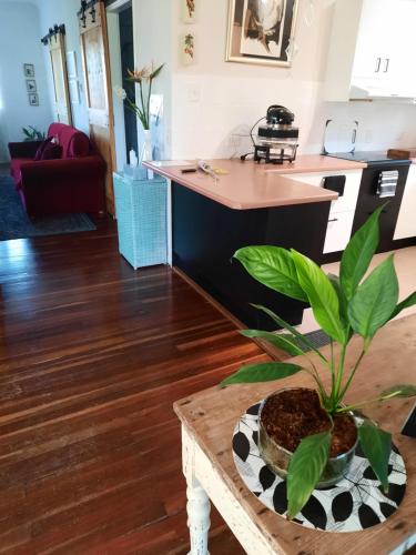 Kyogle Comfy Homestay