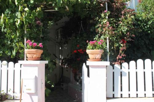 Apartment Povljana 1 - image 7