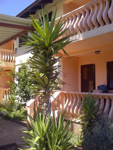  Apartment Zdrelac 4 in Ždrelac