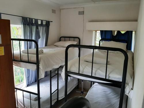 Elephant Walk Guesthouse and Back Packers