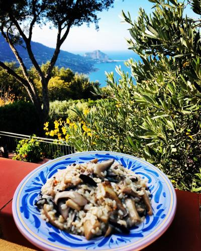 cefalù nest pool house terrace sea view