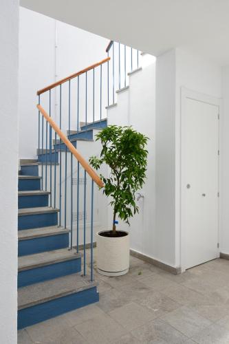 PATIO de LUZ - Stylish apartments in Párraga 13