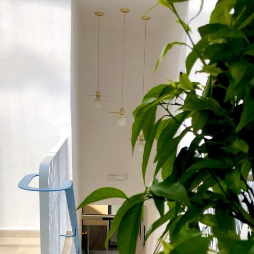 Superior Apartment image 2
