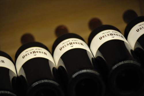 Wine & Tourisam Valdhuber Apartments - image 10
