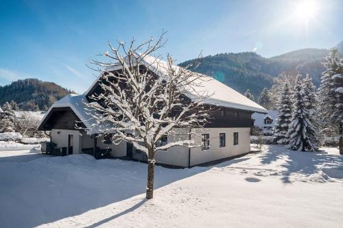 Apartment Strobl 1 - image 2
