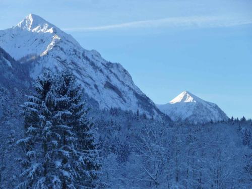 Einrichtungen, Apartment Strobl 1 in Strobl