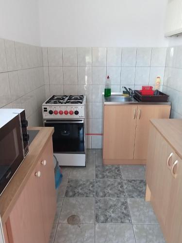Apartament i pokoje gościnne Budnik