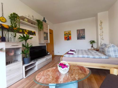 Ferien-und Gästewohnung Radebeul