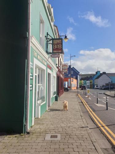 Murphy's B&B - image 13