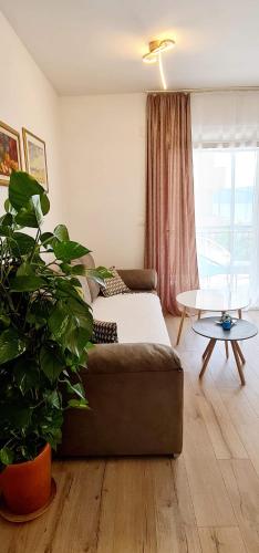 Apartments Tivat - image 8