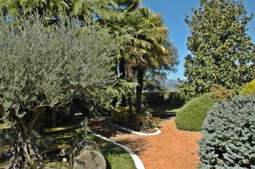 Casa con piscina y gran jardin