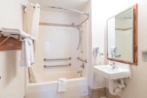 Quality Inn & Suites - University - image 8