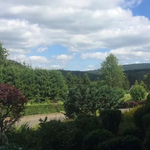 Eulennestchen-Harz Fewo S1 oder L2 Für Single, Paar oder Familie & Hund Oberharz in Altenau, Deutschland