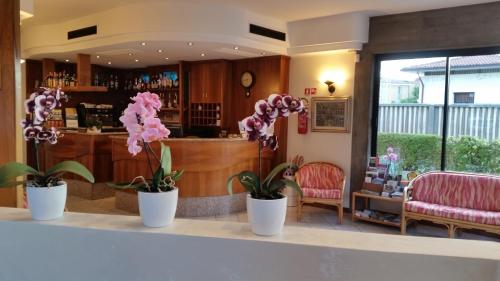 Albergo Al Cacciatore in Desenzano Del Garda Suburbs