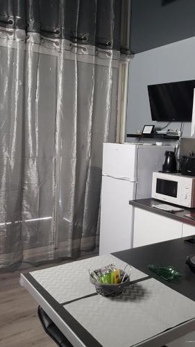LE CACTUS Studio Naturiste Coursives - image 9